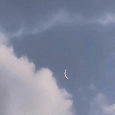 飞龙大乱斗红包版下载