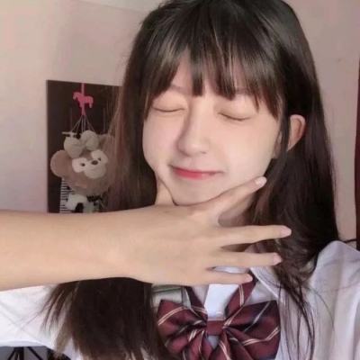 圣域传奇破解版下载